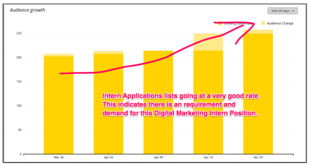 Application for digital marketing intern position
